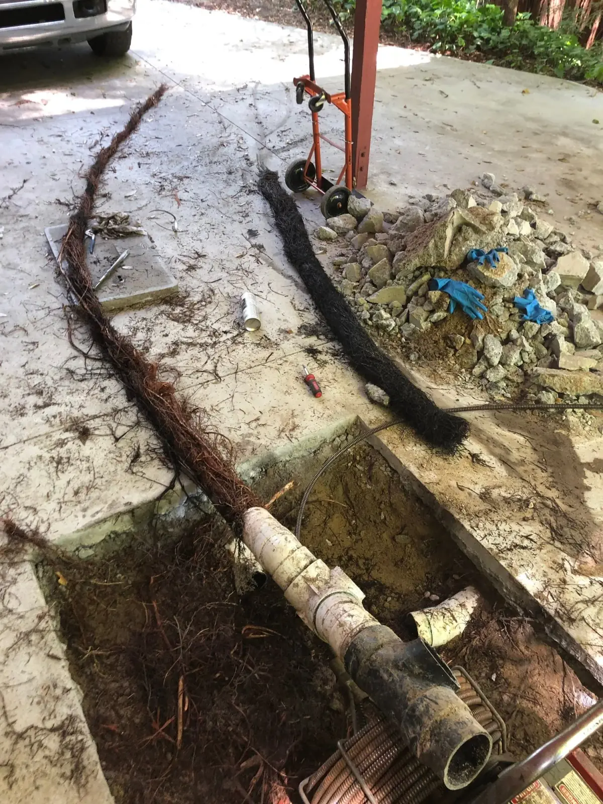 Tree roots pulled from an exposed sewer line next to a drain cleaning machine