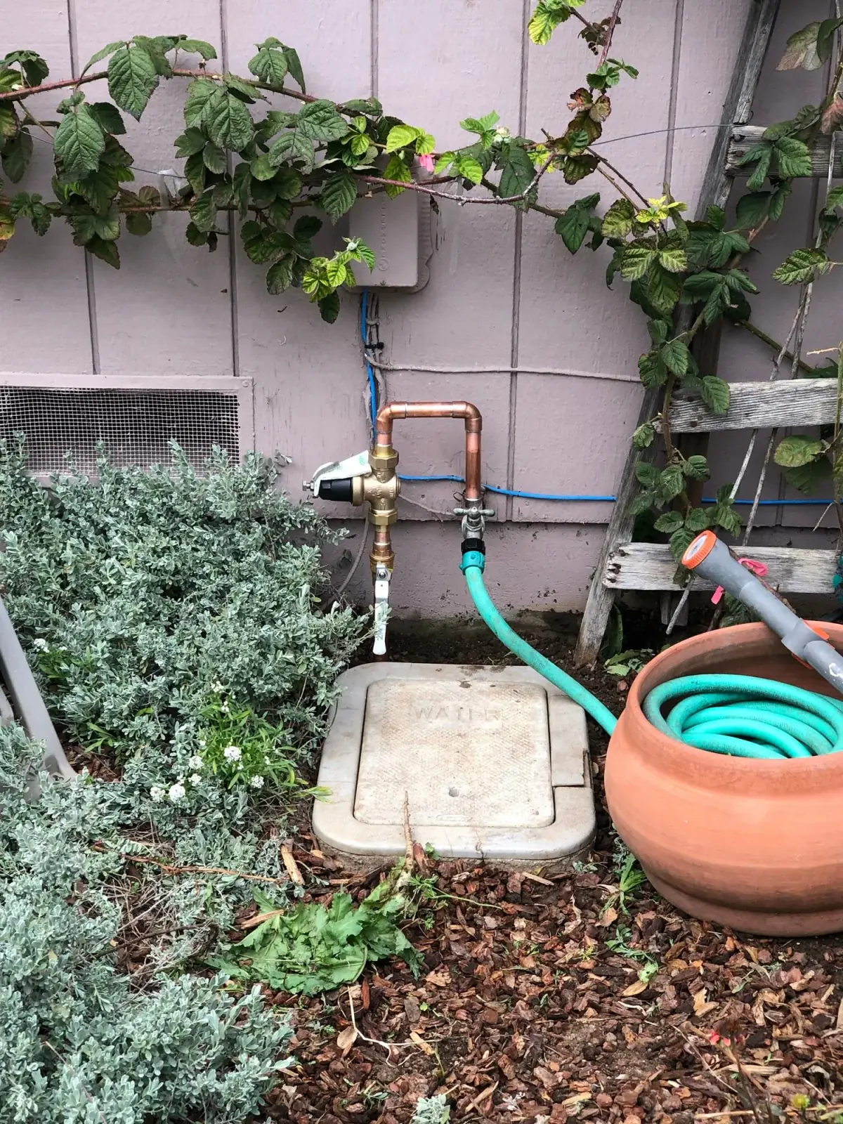 Detect Hidden Water Leaks in Santa Cruz County Homes